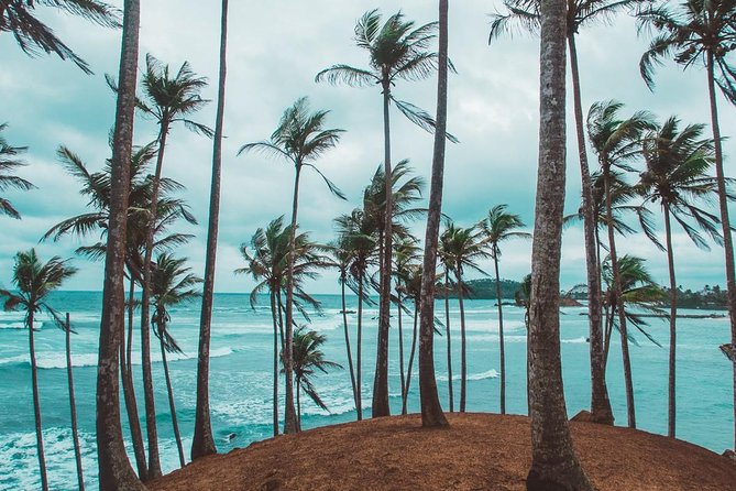 03 Days Beach Holidays in Sri Lanka with Kingfisher - How the private format affects the value