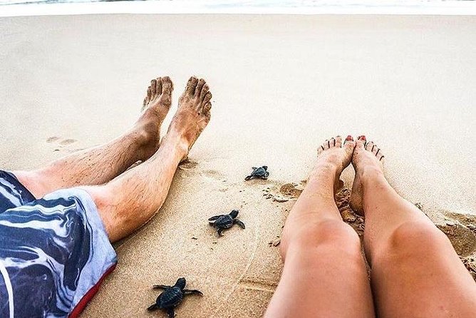 03 Days Beach Holidays in Sri Lanka with Kingfisher - Who will enjoy this route most