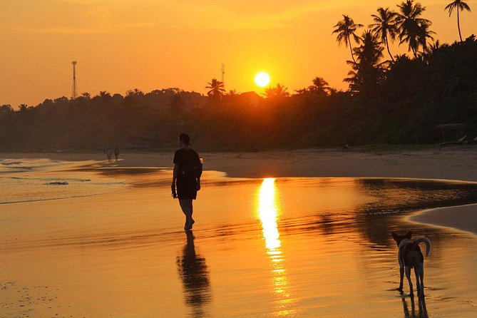 03 Days Beach Holidays in Sri Lanka with Kingfisher - Should you book the Kingfisher beach holiday?