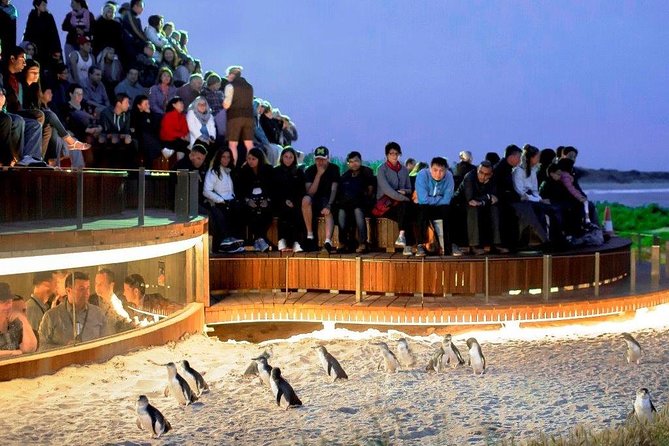 1 Day Exclusively Private Tour Of Phillip Island & The Penguin Parade - Key points to know before booking