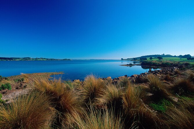 1 Day Exclusively Private Tour Of Phillip Island & The Penguin Parade - What the $169 price really covers