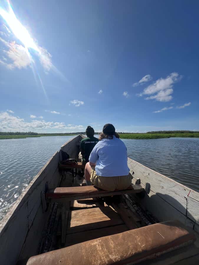 1-Day Mabamba Shoebill Birding Tour in Lake Victoria Entebbe - Should you book the Mabamba shoebill tour?