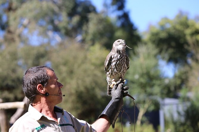 1 day Puffing Billy Steam Train and Wildlife Tour from Melbourne - Healesville Sanctuary: the other major attraction