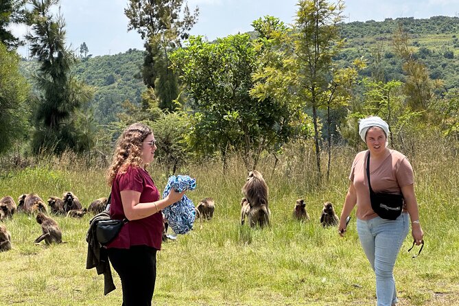 1-Day Tour Old bridge, Monastery,water falls Wildlife,Birds, - Key things to know before you book