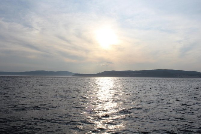 1000 Little Penguins Cruise - Why the 4.5-hour length matters