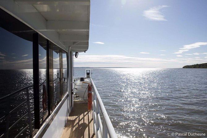 1000 Little Penguins Cruise - Who will enjoy this Quebec bird cruise?
