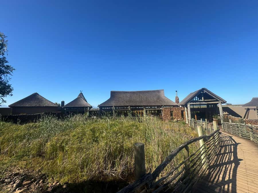 2-Day Cape Town Safari with Big 5, Penguins & Cape Agulhas - Should you book it?