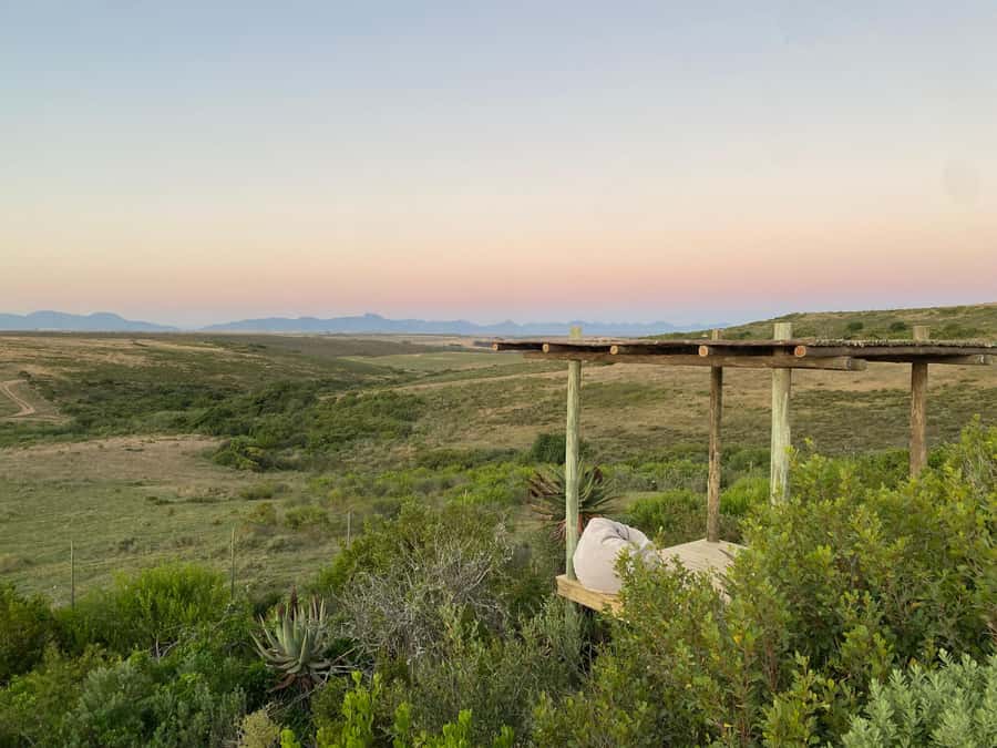 2-Day Cape Town Safari with Big 5, Penguins & Cape Agulhas - The return through Hermanus and Betty’s Bay