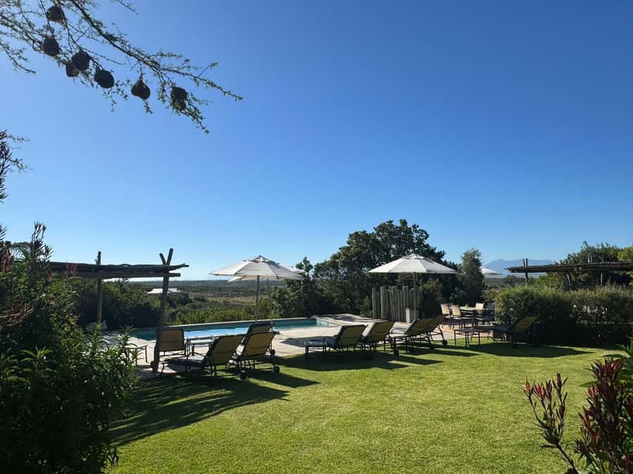 2-Day Cape Town Safari with Big 5, Penguins & Cape Agulhas - Who should choose this two-day safari