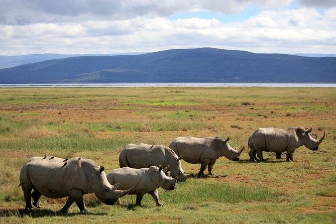 2 Days Flamingo Tour to Lake Bogoria & Lake Nakuru From Nairobi - Lake Nakuru on the second morning