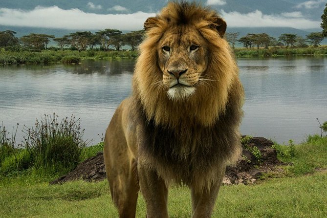 2 Days Flamingo Tour to Lake Bogoria & Lake Nakuru From Nairobi - Is $595 a fair price?
