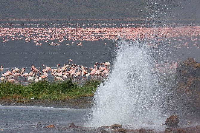 2 Days Flamingo Tour to Lake Bogoria & Lake Nakuru From Nairobi - The Great Rift Valley viewpoint