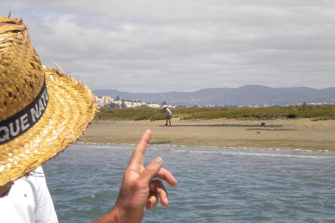 2-hour Bird Watching Guided Boat Trip in Ria Formosa from Faro Algarve - Why Ria Formosa is worth seeing by boat