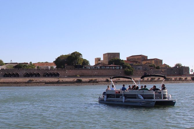 2-hour Bird Watching Guided Boat Trip in Ria Formosa from Faro Algarve - Meeting at Faro’s nautical club