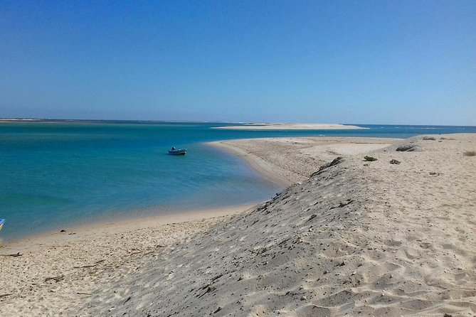 2-hour Bird Watching Guided Boat Trip in Ria Formosa from Faro Algarve - Following the channels toward the islands