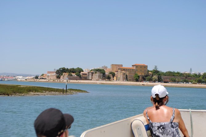 2-hour Bird Watching Guided Boat Trip in Ria Formosa from Faro Algarve - A comfortable boat and a guide-led search