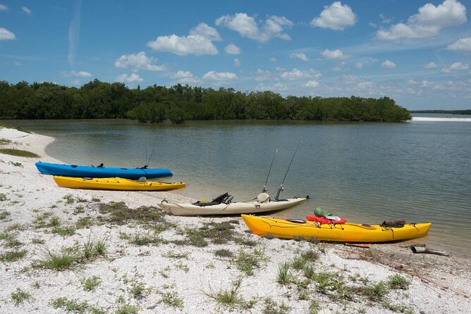 2 Hour Dolphin, Birding and Shelling Tour - Setting out from Goodland Boat Park
