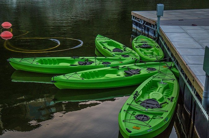 2 Hour Kayak Lessons On Lady Bird Lake - Paddling toward the Congress Avenue bat bridge
