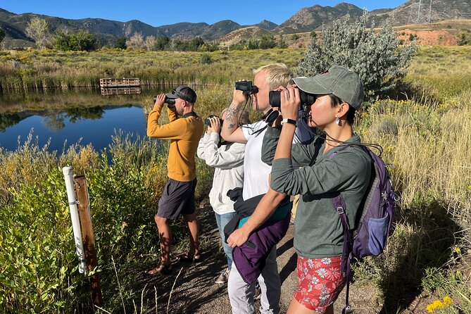 2 Hours of Mindful Bird Watching near Denver - Key points at a glance