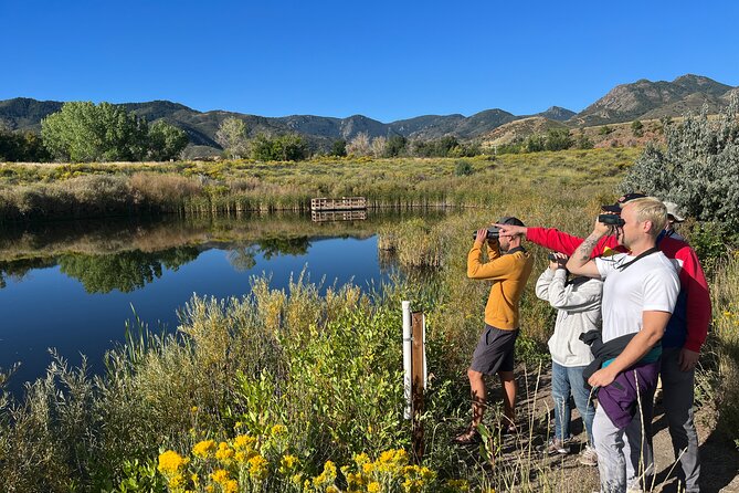 2 Hours of Mindful Bird Watching near Denver - A quiet start at Belmar Park at 8:00 am