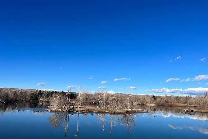 2 Hours of Mindful Bird Watching near Denver - Jane’s teaching style and personal attention