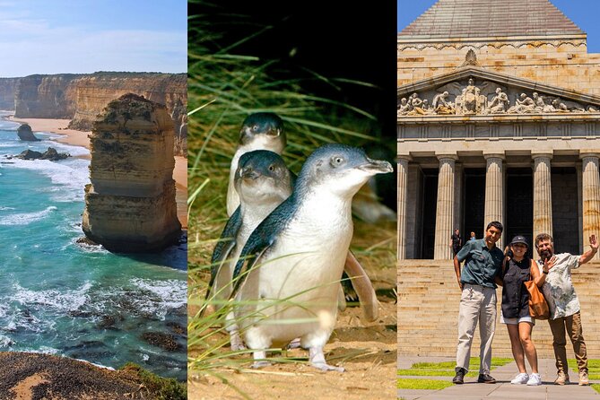 3 Day Combo: Great Ocean Road, Penguin Parade and FREE City Tour - Key points to know before booking