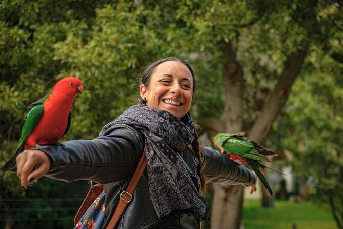3 Day Combo: Great Ocean Road, Penguin Parade and FREE City Tour - Moonlit Sanctuary and the road to Phillip Island