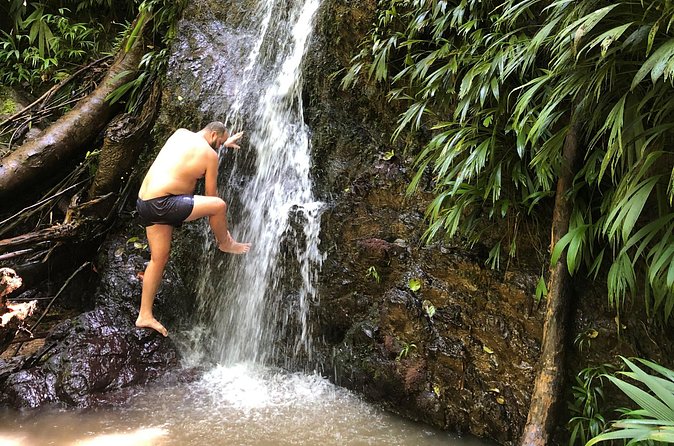 3 Hours Rainforest Walk in Tobago (Private) Lunch + Hummingbirds - Lunch adds a local break