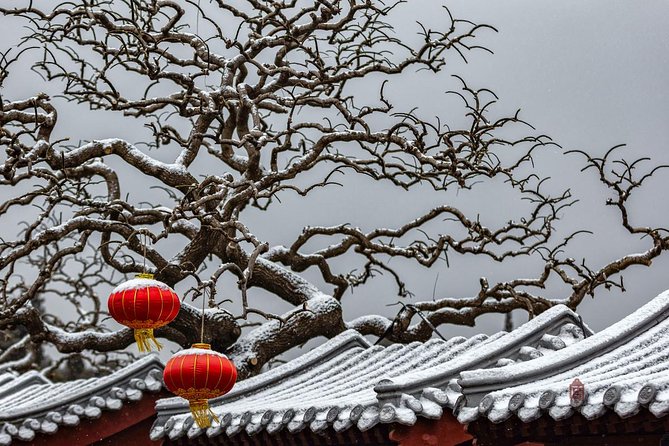 4-Hour Private Forbidden City Walking Tour with Bird's ViewOption - Starting at Tiananmen Square