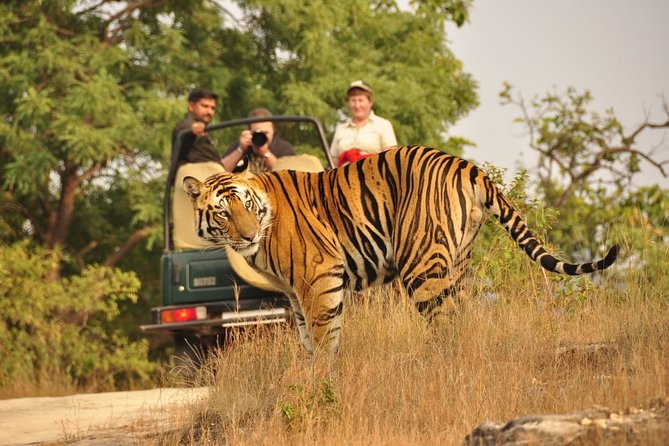 7 Day Golden Triangle Tour with Wildlife-Taj Mahal Tigers & Birds - Day 3: Taj Mahal at sunrise, then Bharatpur birds