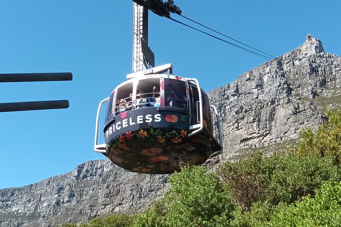 8-Hour Tour in Table Mountain Penguins and Cape of Good Hope - Why this Cape Town day works so well