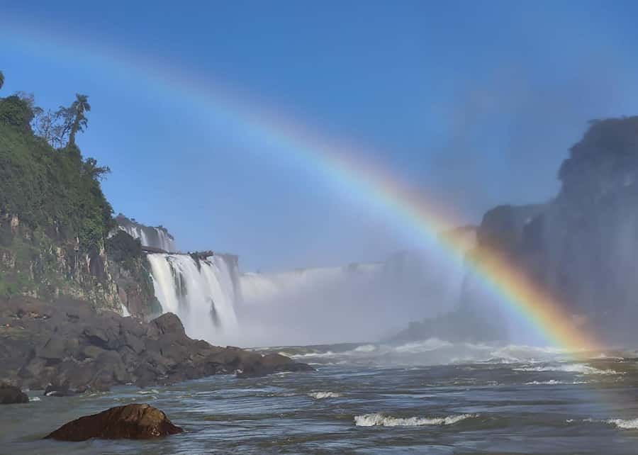 Adventure at Iguazu Falls: Safari, Bird Park, and Waterfalls - Riding through the Atlantic Forest
