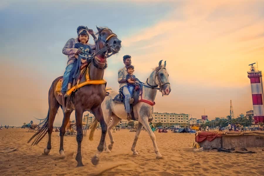 Agadir 2hours Horse Riding visite the flamingo river - The horses and basic riding setup