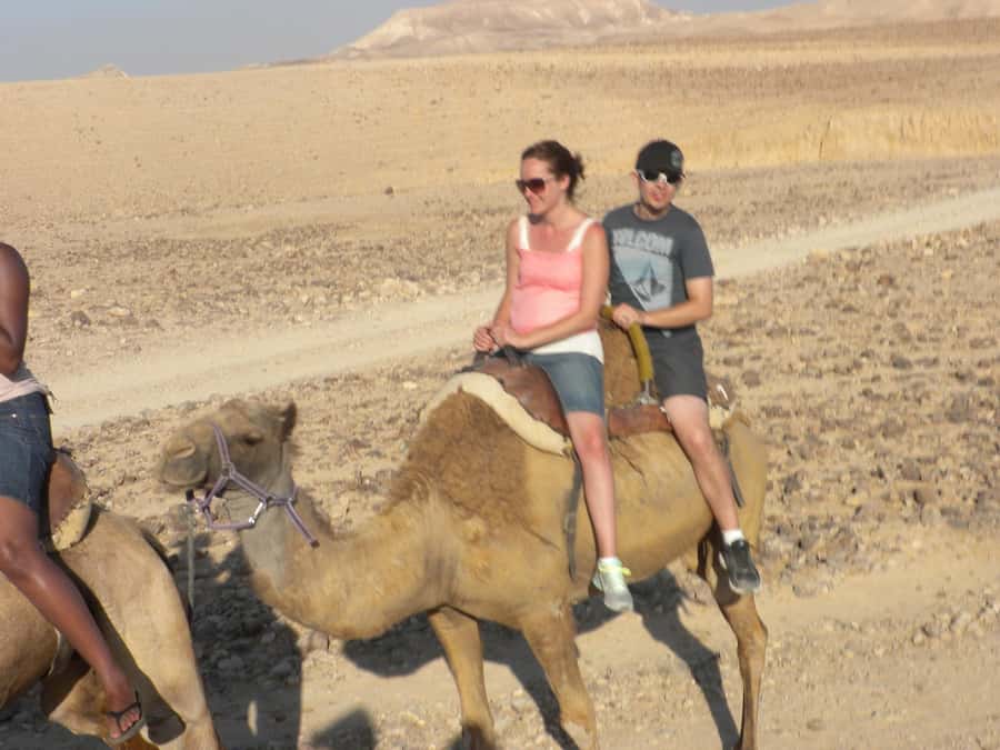Agadir Camel Ride Flamingo River & BBQ Dinner - A gentle ride from Agadir to Oued Souss