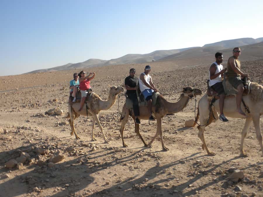 Agadir Camel Ride Flamingo River & BBQ Dinner - What the BBQ adds to a short outing
