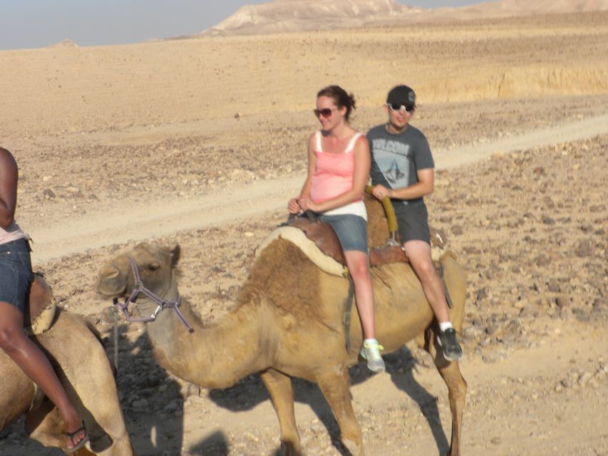 Agadir Camel Ride Flamingo River & BBQ Dinner - How the $21 price works for you