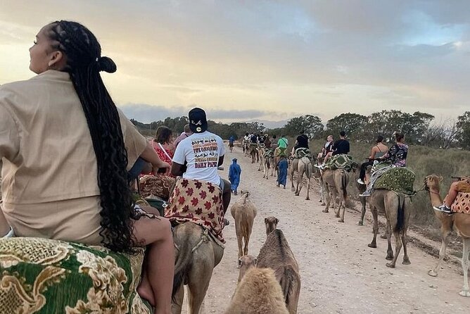 Agadir Camel Riding and flamingo river tour - From Agadir hotel pickup to the riding area