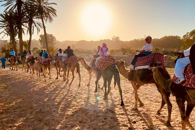 Agadir Camel Riding and flamingo river tour - Who will enjoy this Agadir outing most