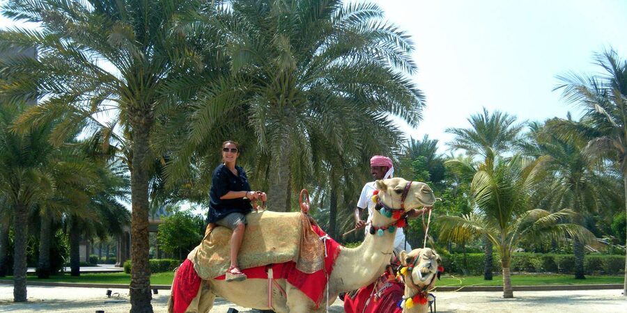 Agadir: Flamingo River Camel Ride - Key points at a glance
