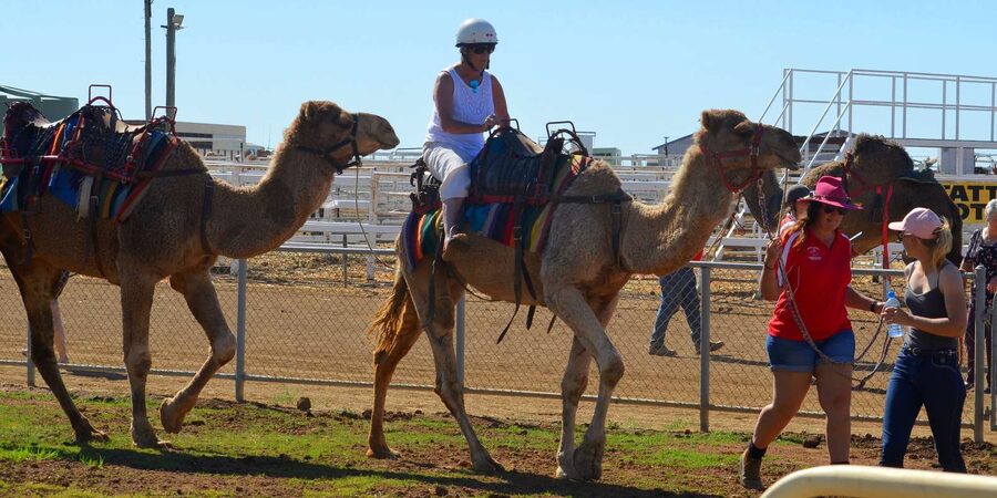 Agadir: Flamingo River Camel Ride - Who should book this Agadir camel ride?