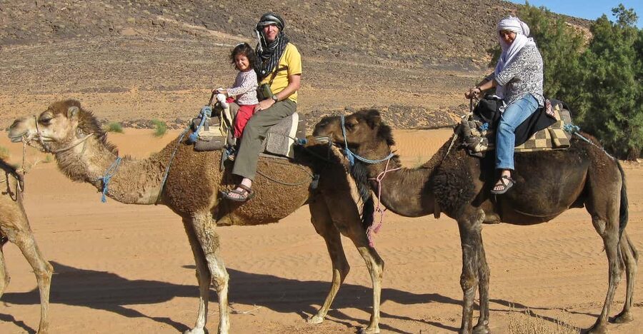 Agadir: Flamingo River Camel Ride - From Agadir hotel to the camel ranch
