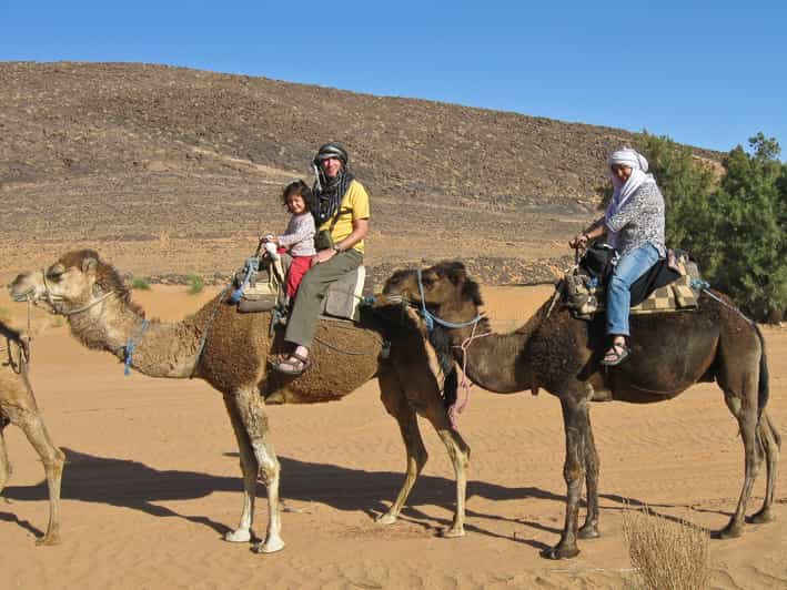 Agadir: Flamingo River Camel Ride - A quieter stretch through the eucalyptus forest
