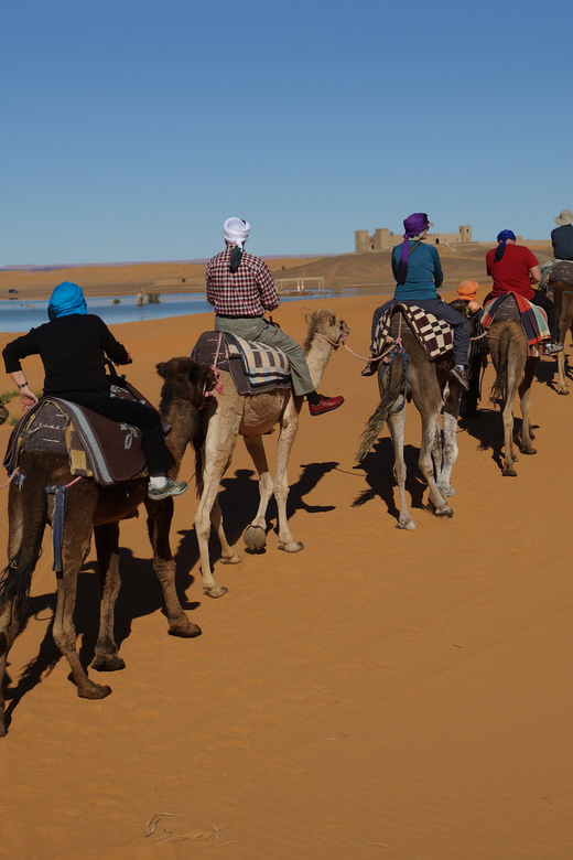 Agadir: Flamingo River Camel Ride - Reaching the Souss River for birds and photos