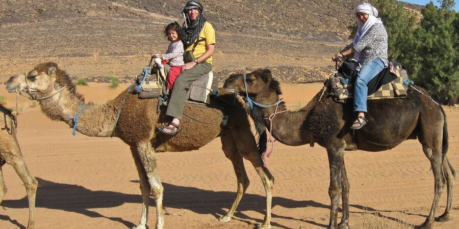 Agadir: Flamingo River Camel Ride - Sunset from camelback
