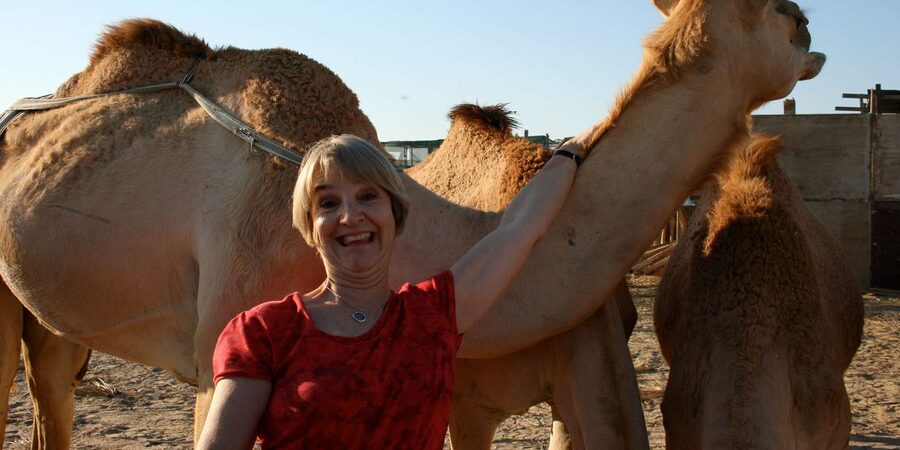 Agadir: Flamingo River Camel Ride - Mint tea back at the ranch