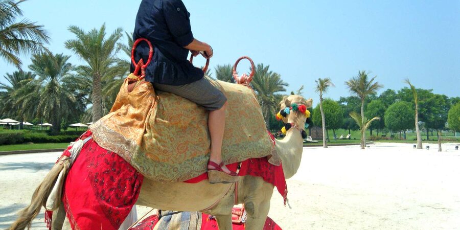 Agadir: Flamingo River Camel Ride - What the $23 price really covers