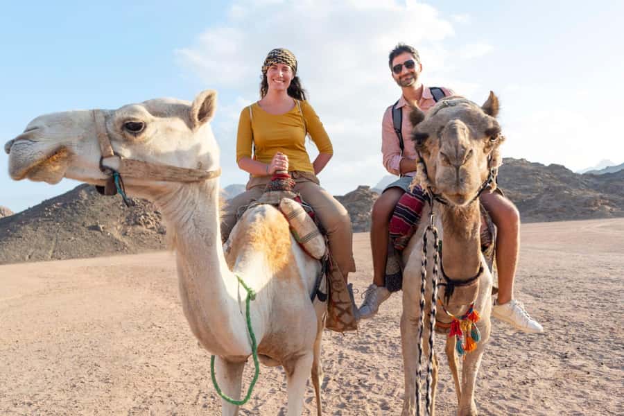 Agadir: Flamingo River Camel Ride with Optional BBQ Dinner - A short camel ride with a real change of scenery