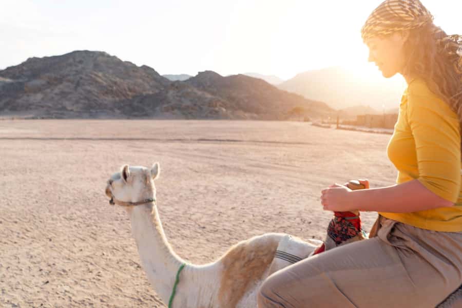 Agadir: Flamingo River Camel Ride with Optional BBQ Dinner - Mint tea, Moroccan cakes, and the dinner question
