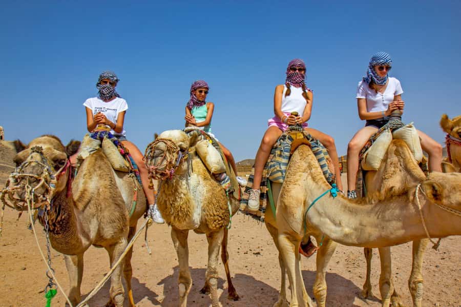 Agadir: Flamingo River Camel Ride with Optional BBQ Dinner - Who will enjoy this Agadir camel ride