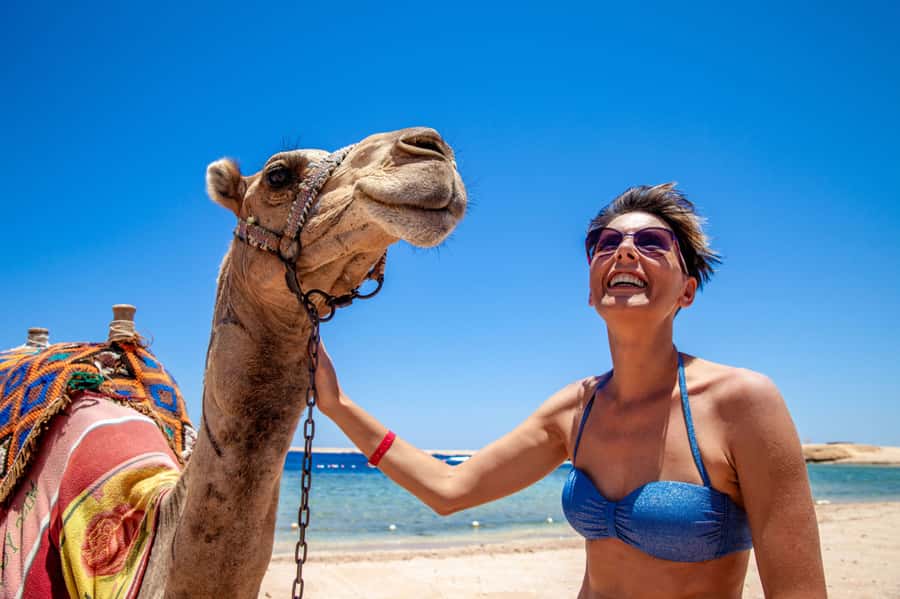 Agadir: Flamingo River Camel Ride with Optional BBQ Dinner - Practical advice before you go